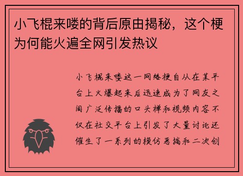 小飞棍来喽的背后原由揭秘，这个梗为何能火遍全网引发热议